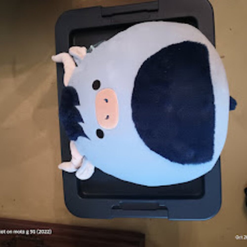 NWT Squishmellow
